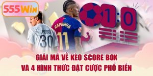 Giải Mã Về Kèo Score Box Và 4 Hình Thức Đặt Cược Phổ Biến